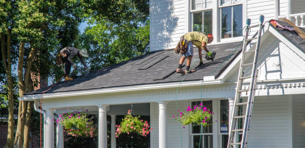 Best Roof Gutter Cleaning  in Crawford, GA